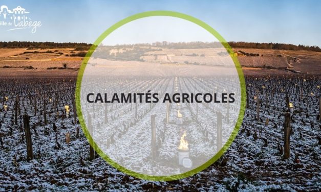 Demandes d’indemnisation des agriculteurs suite à l’épisode de gel du 4 au 8 avril 2021