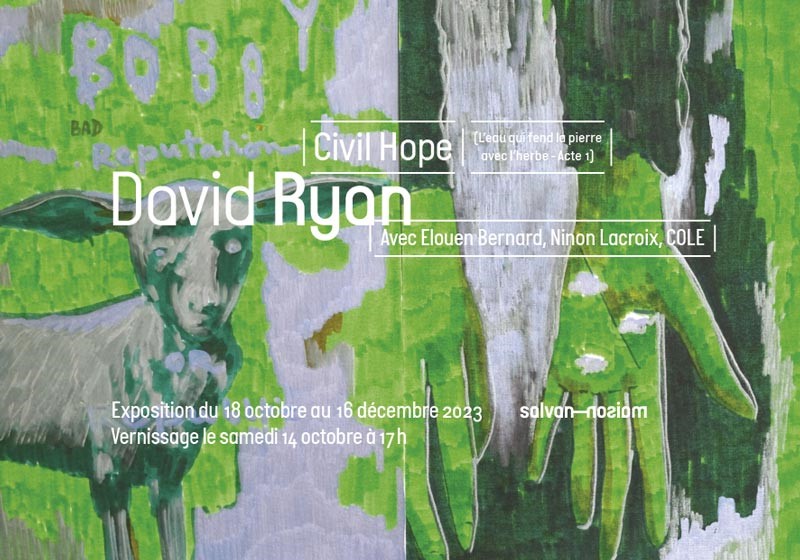 Vernissage et exposition : David Ryan à la Maison Salvan
